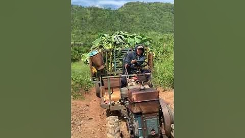 #shorts xe công nông cầu trượt chở chuối lên dốc chở quá tải và cái kết