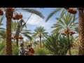What a Farm in Alain 😍
