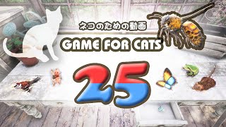 【猫用動画MIX25】ハチ・テントウムシなど ４時間 GAME FOR CATS 25
