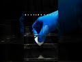 水の音で「青と夏」を演奏してもらったら凄かった‼️