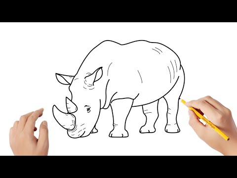 Video: Cómo Dibujar Un Rinoceronte