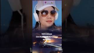 KEPENGIN TURU NENG NDADANE