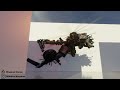 Transformer Animation: Dreadwasp 3 (Blender Animation)