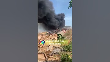 Cháy lớn nhà máy ở Bình Phước, khói đen bốc cao hàng chục mét | Tin Tức Dân Sinh  #shorts