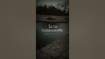 فصبرٌ جميل..القارئ/طارق محمد🌻تدبَّر🌻حالات واتس