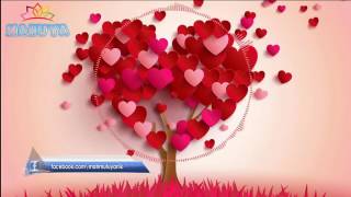 Ayse Hatun Önal Olay Resimi