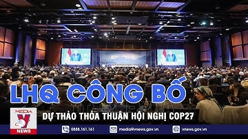 LHQ công bố dự thảo thỏa thuận hội nghị COP27 - Tin thế giới - VNEWS