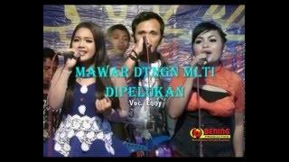 Mawar Ditangan NEW 'ARIZZA' Music. Bawang-Batang