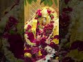જય બહુચરાજી માં 🙏#subscribe #gujarati #trending #jaymataji