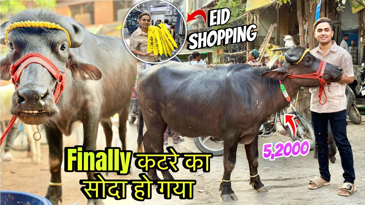 Finally Ek Katra Khareed Lia💕Alhamdulillah Eid Ki Shopping Ho Gai😍💕