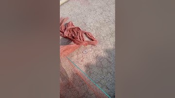 đi chơi vô coi ae đi làm tre đẩy tép cá... tp