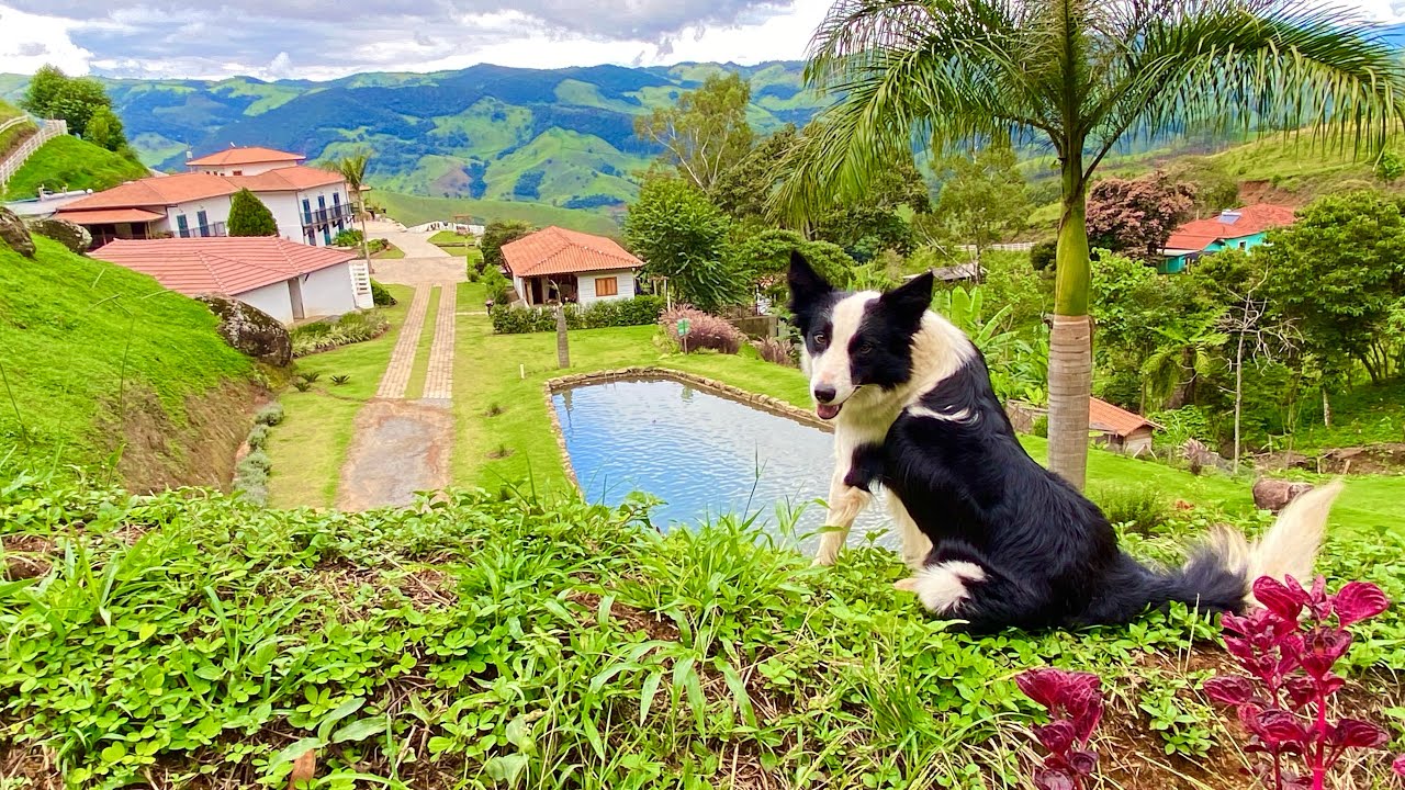 LINDA POUSADA ENTRE AS MONTANHAS DE MARIA DA FÉ MG #sitio  #roça  #natureza 