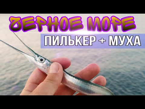 Как поймать на пилькер Новичку! Ставрида на каждом забросе, Сарган атакует!