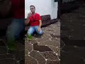 حسين الرفاعي ياسوريا ياأرض الخير