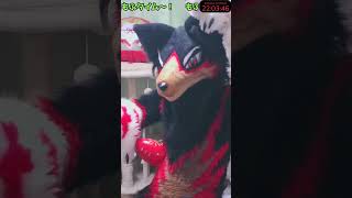 【獣化#89】縦型配信でもふもふタイムを楽しもう！！【Fursuit/ジュージュー】 #shorts #fursuit #furry #Zatsu #FreeTalk