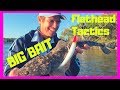 Flathead Tactics for the Flathead Classic (Topwater & Big Baits)