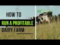 How to start and run a successful dairy farm  the farmguide sn1 e1