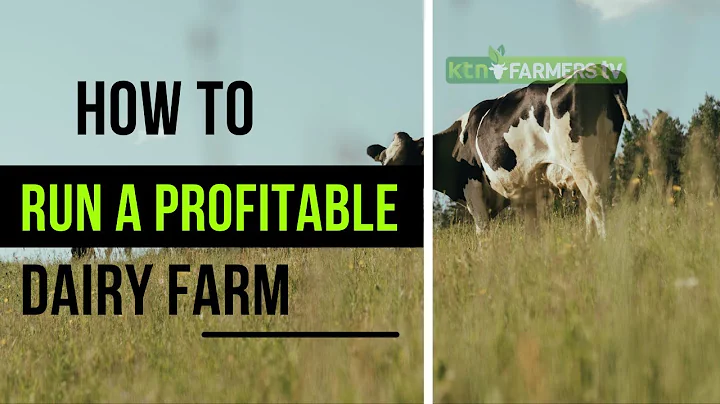 How to start and run a successful dairy farm - The FarmGuide Sn1 E1