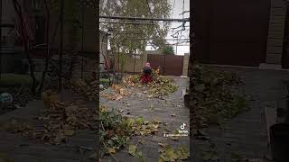 ##дім #сад #село #природа #українськамузика #одеса #україна #славаукраїні #кузьма #скрябін