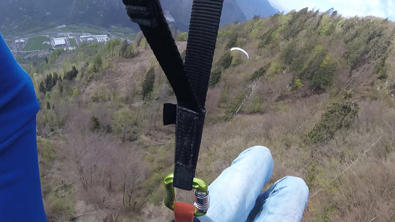 Malmarone - morning Speed Run to office - PsychoPigeons - followfilo