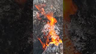What Are Zombie Fires The Wildfires That Refuse to Die! #brainboostai #facts #scienceshorts #shorts