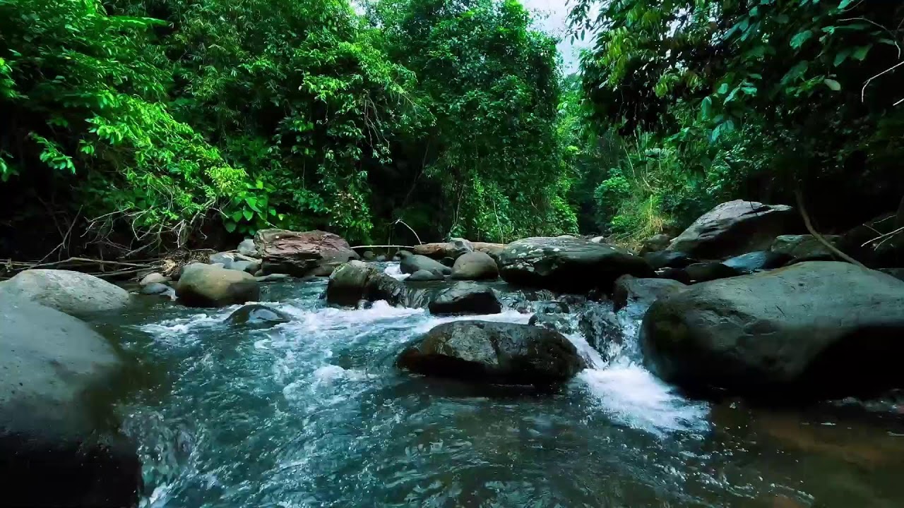 Rushing River in Deep Jungle – Relaxing Nature Sounds for Sleep, Stress Relief & Mental Clarity