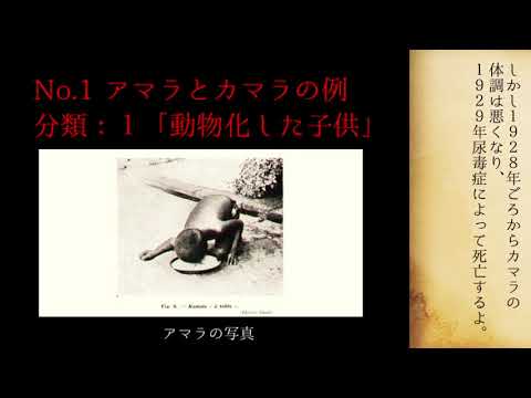 ゆっくり解説 野生児について Youtube ゆっくり解説 野生児について Youtube