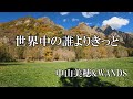 世界中の誰よりきっと /  中山美穂 (歌詞入り)