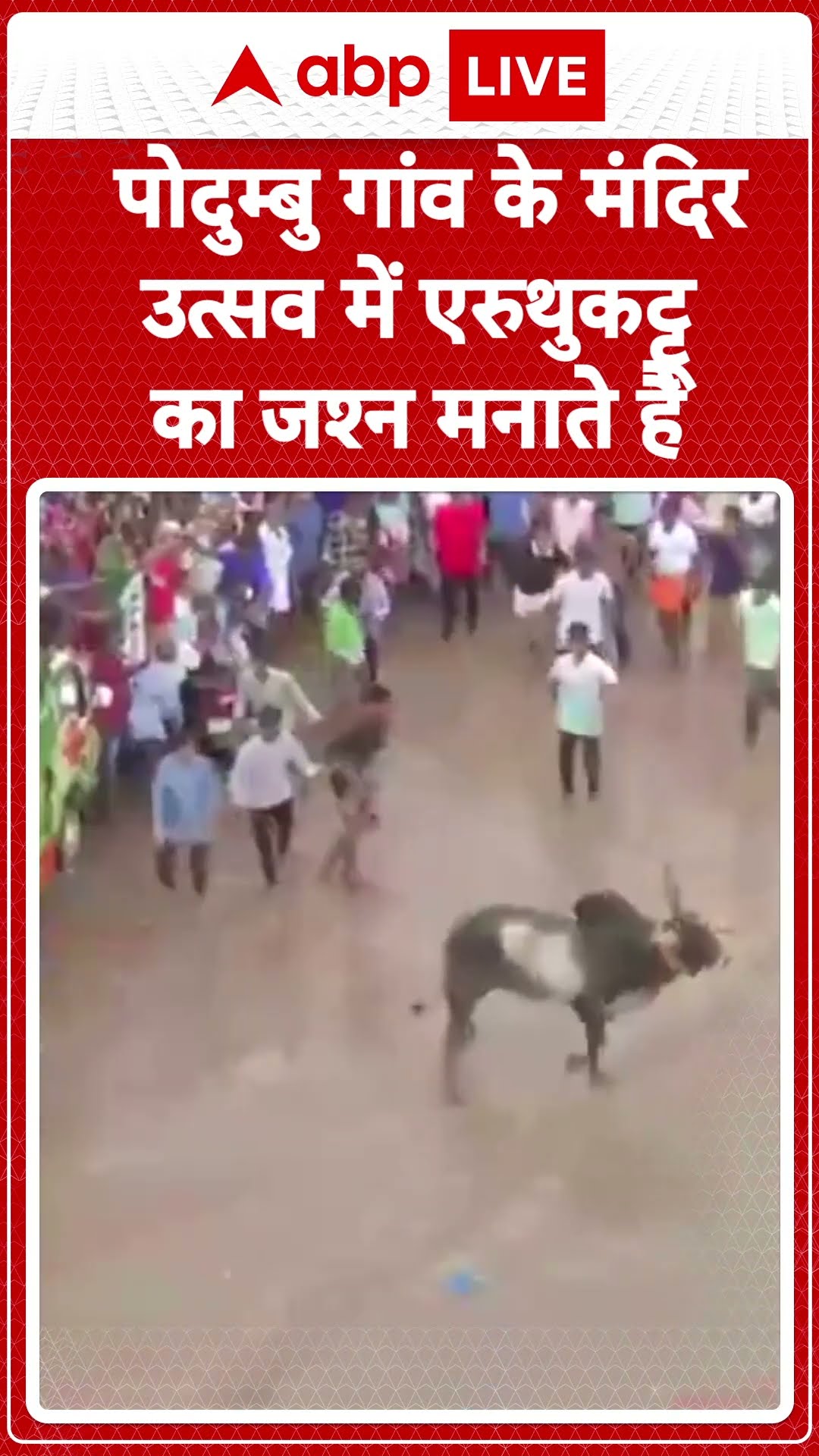 Tamil Nadu: लोग कोविल पोदुम्बु गांव में मंदिर उत्सव में प्राचीन खेल एरुथुकट्टू का जश्न मनाते हुए।