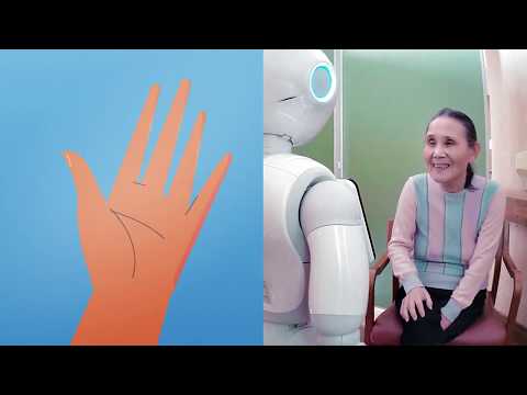 Video CARESSES, A robot for the elderly that knows about different cultures (featuring Pepper).