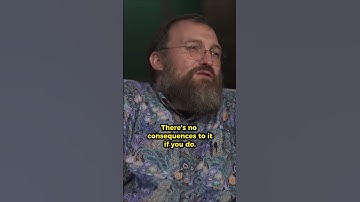 Will You Return the Shopping Cart? Charles Hoskinson’s Deep Question 🛒