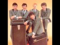 The Hollies - Whatcha Gonna Do 'Bout It?