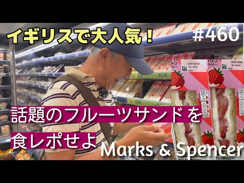 さくともさま Amazon.co.jp: ゼクス ZX 聖典星“スクトゥム” フィンレー カード