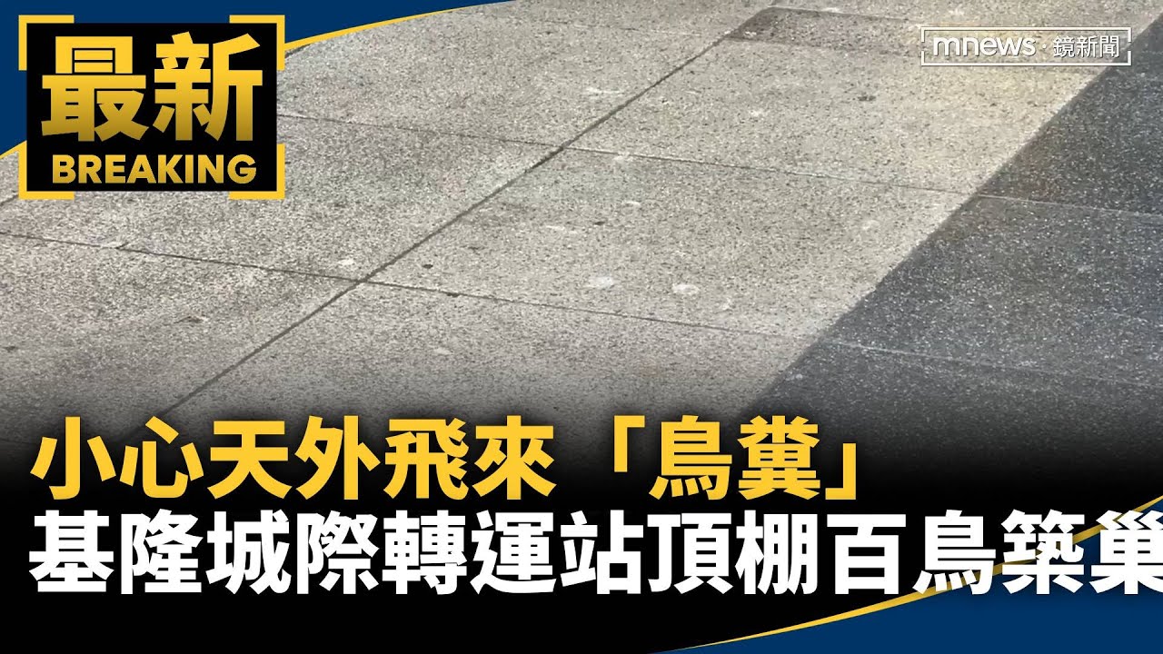 小心天外飛來「鳥糞」　基隆城際轉運站頂棚百鳥築巢｜#鏡新聞