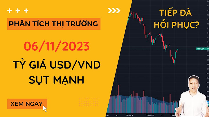 Tỷ giá usd vnđ trung bình năm 2023 năm 2024