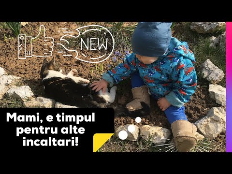 Video: Cum Să Alegi Pantofii Ortopedici Pentru Primii Pași