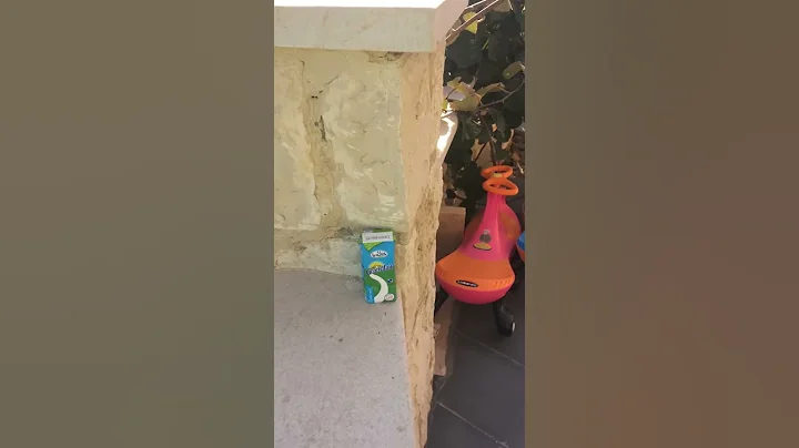 Milk flip challenge sorry about my voice