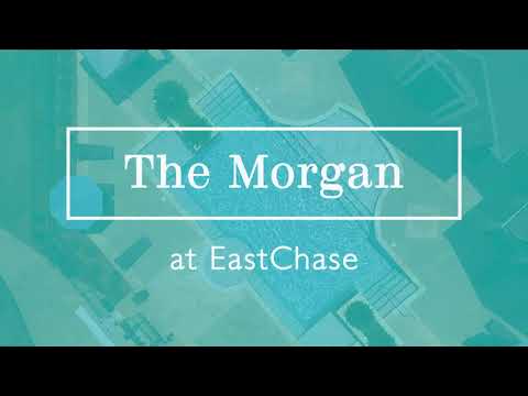 The Morgan At Eastchase Video Tour