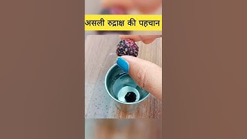 मिश्राजी के अनुसार असली रुद्राक्ष कैसे पहचानें #mishraji #rudraksha #kubereshwarmahadev #shorts