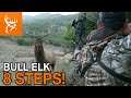 BULL at 8 STEPS | UTAH Elk Season | Buck Commander | Full Episode