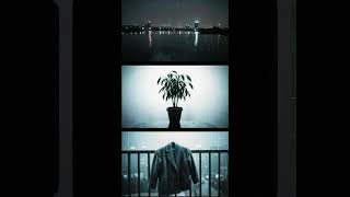 Apollonn16 - Kutup Yildizi
