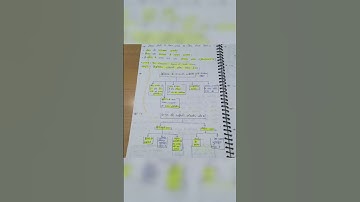 Class 10th Social science Political CH 2 Hindi medium #physicswallah #magnetbrains