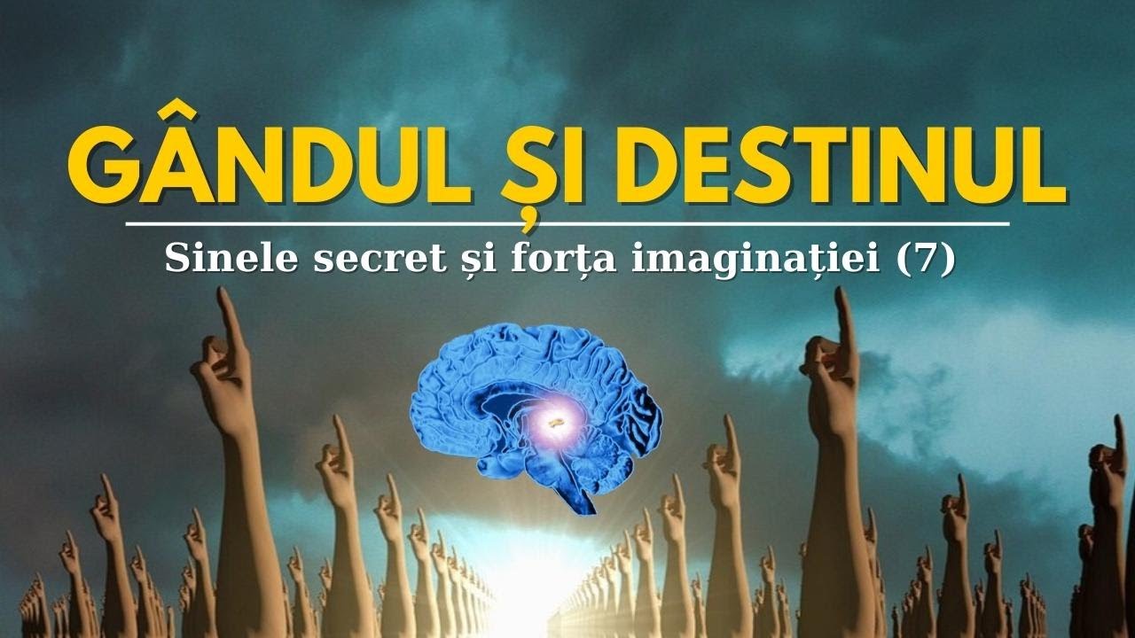 Destinul măgărușului - Rodica Volintiru