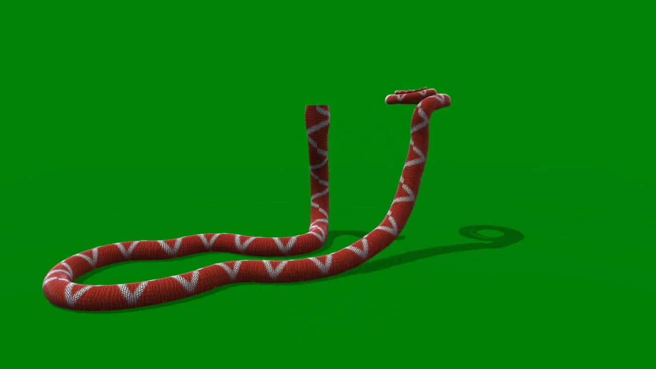 Naggin 5 | bani half snake | attack animation | on green screen | by VFX traders