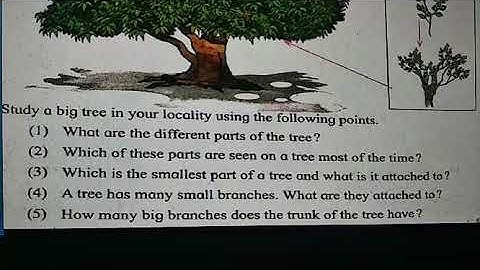 Std 4/Geography/chapter No.15/My district ,My state/Part 2