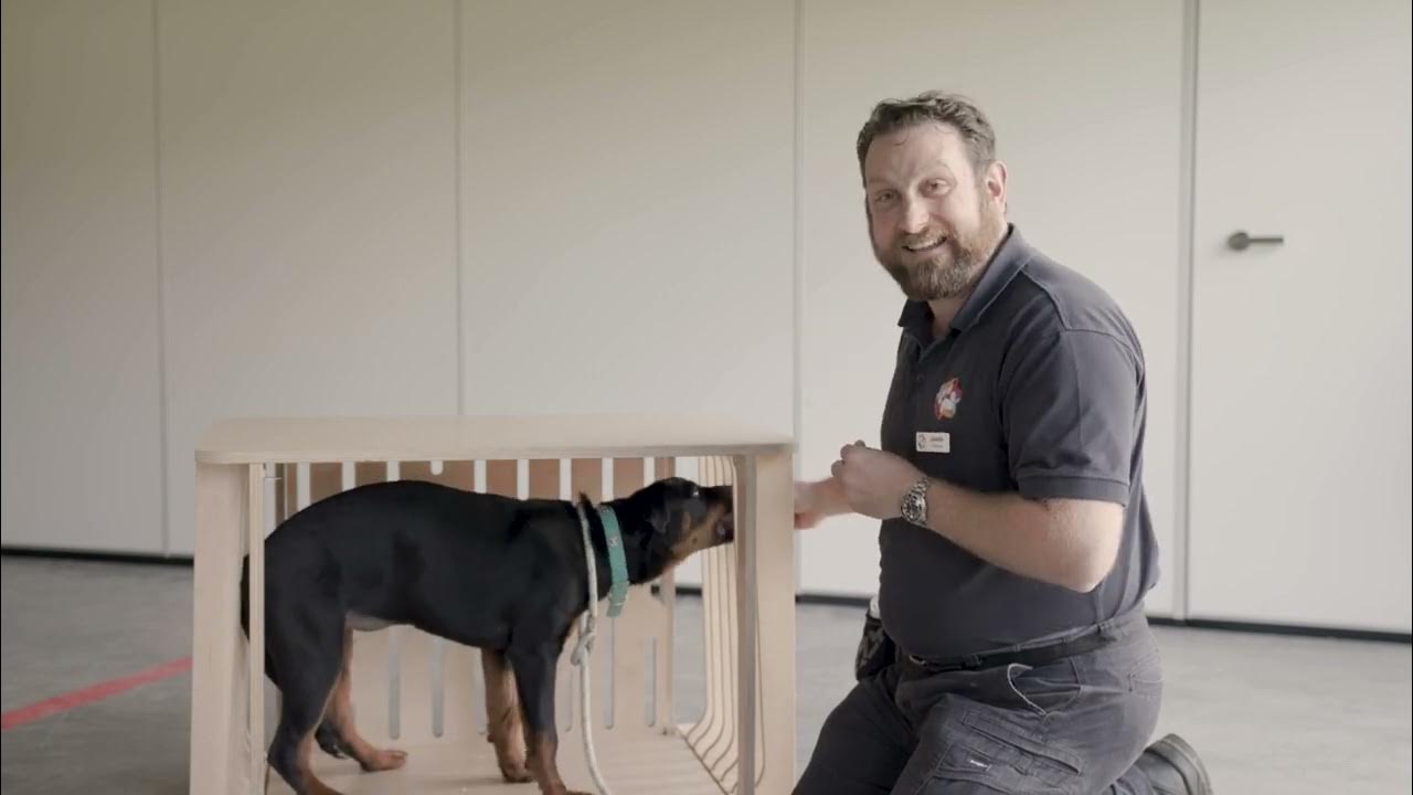 Crate training benefits and tips YouTube