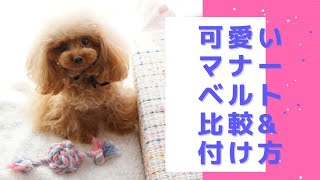 可愛いデザインが沢山あり！マナーベルト付け方紹介。