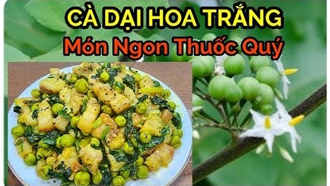 Cây CÀ DẠI HOA TRẮNG - Món ngon thuốc quý có công dụng tuyệt vời mà ít người biết tới|| ÂTTG