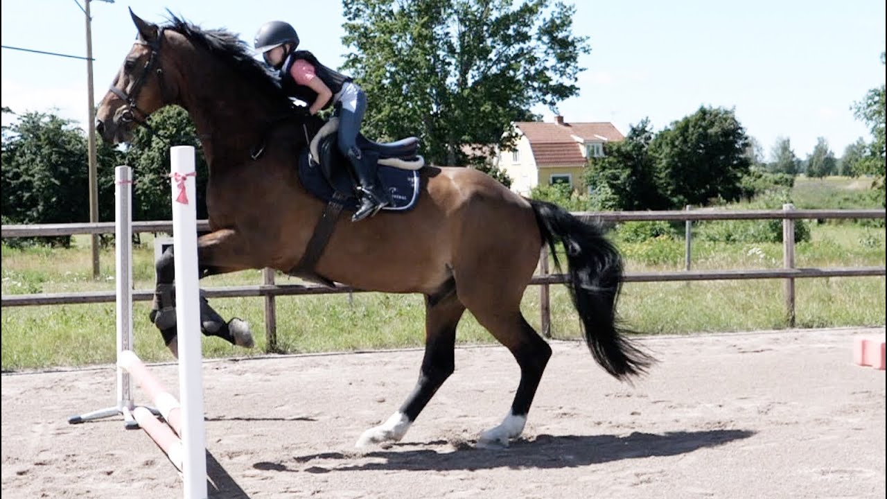 Hur sjutton vågar Hailey detta ?!? Utmaning!