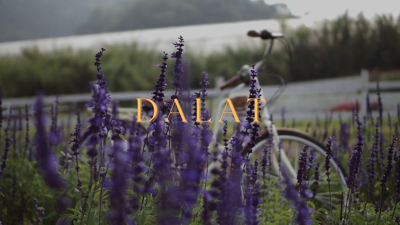 Da Lat 🇻🇳 | Cinematic | Sony a6000 + 35mm f1.8 oss